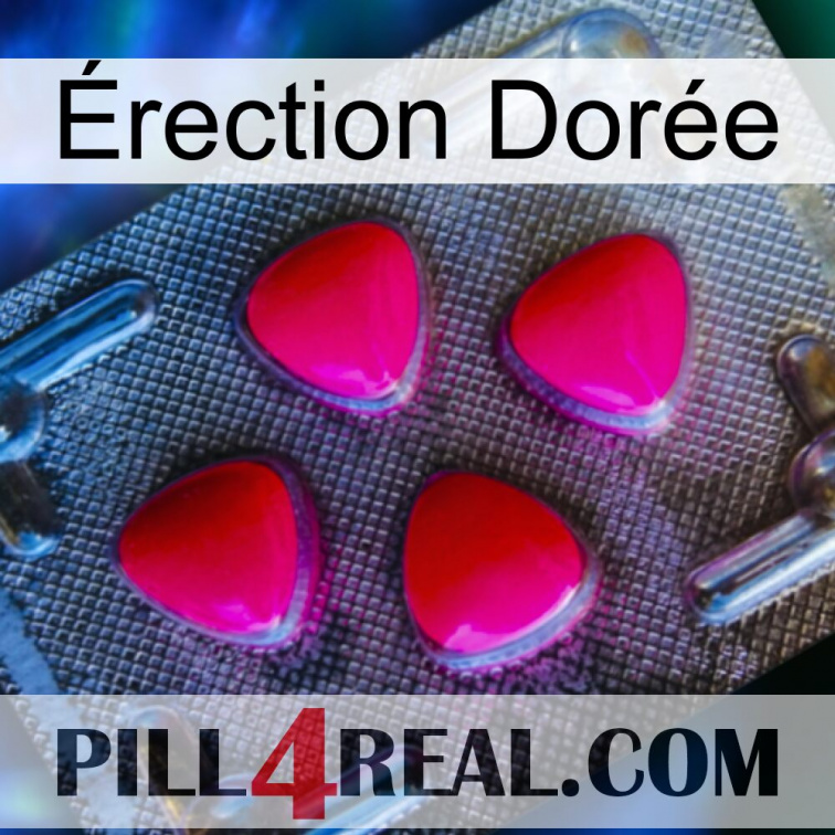 Érection Dorée 13